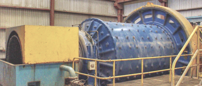 700x300 PLANT
